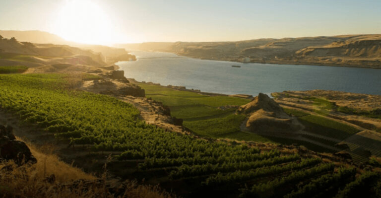I’ve Explored 7 Couples Wine Getaways Full Of Romance And 3 That Were Loud And Far From Relaxing