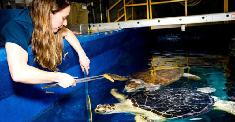 I’ve Explored Aquariums Across The Country These 15 Were The Most Memorable