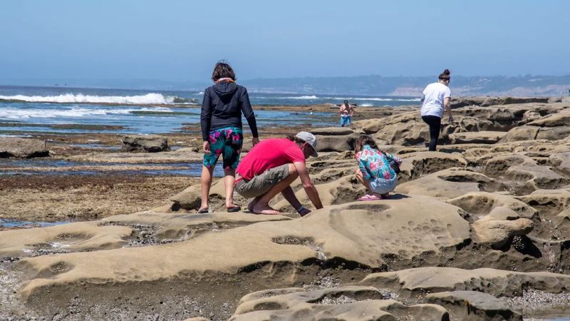 San Diego's Beach Paradise