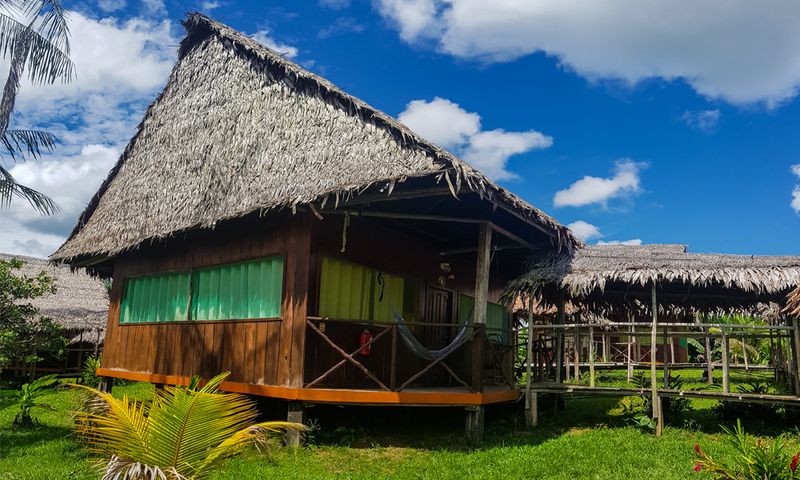 Amazon Jungle Hut: Where 'Eco' Meant No Electricity
