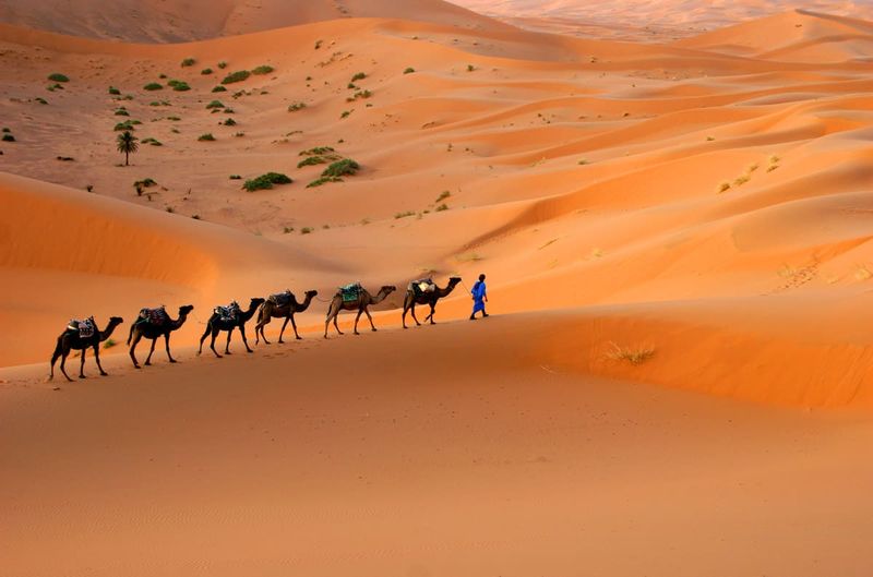 The Sahara Desert, Morocco