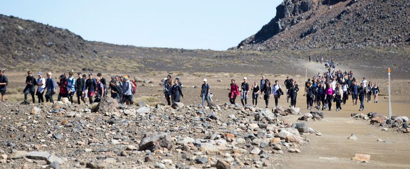 New Zealand's Conservation-First Approach