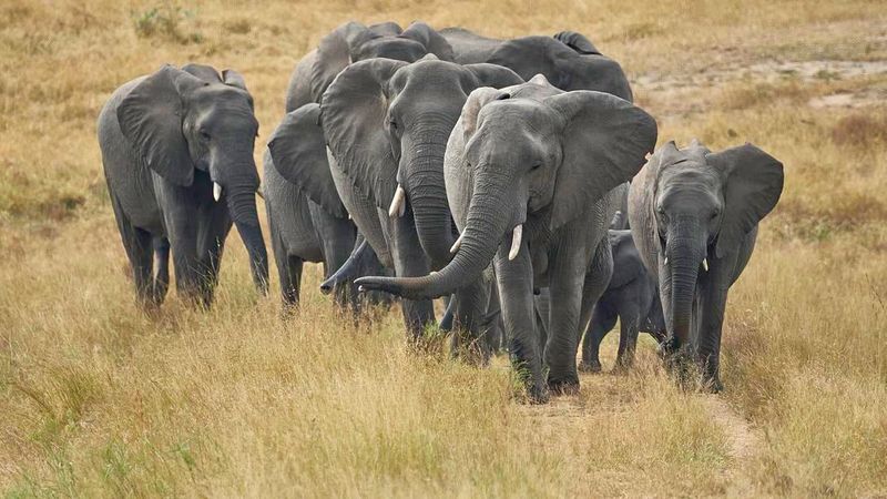 South Africa - Boasting 20+ National Parks