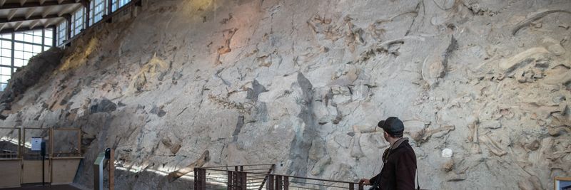 Dinosaur National Monument, USA