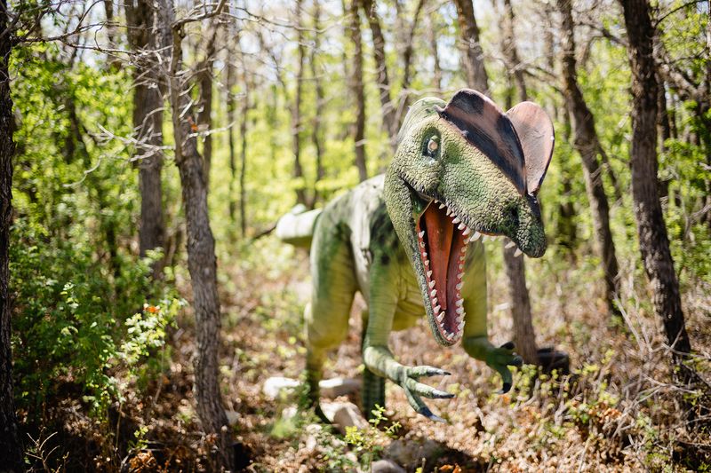 The Dinosaur Park – Ogden, Utah