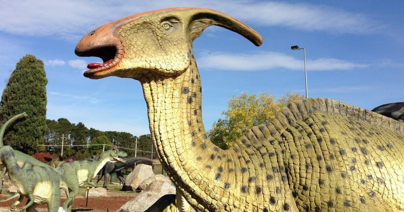 National Dinosaur Museum (Canberra, Australia)