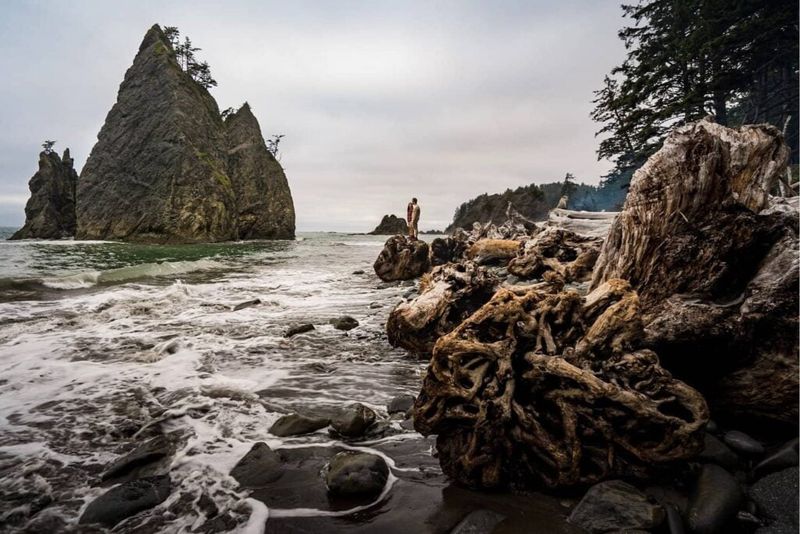 Olympic Peninsula Loop, Washington