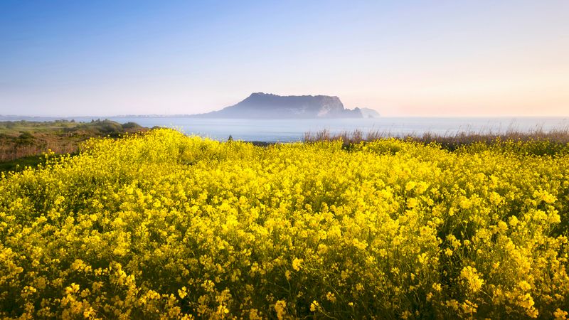 Jeju Island, South Korea