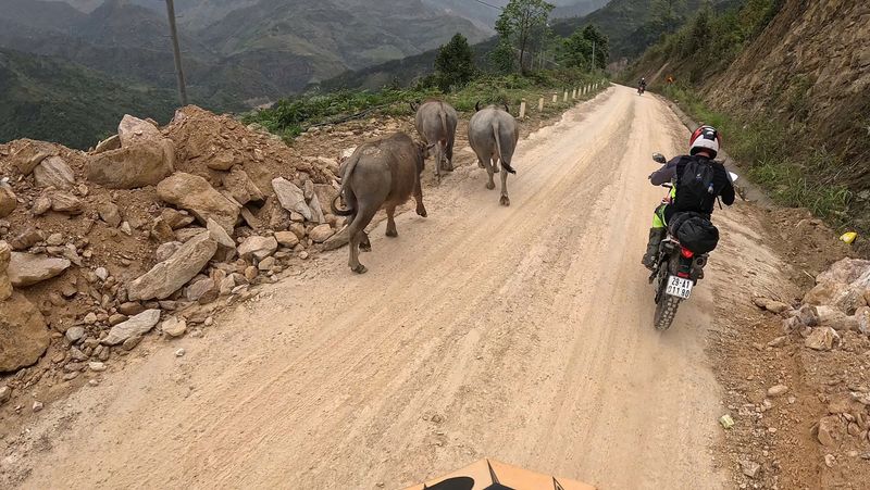 Motorcycle the Ho Chi Minh Trail
