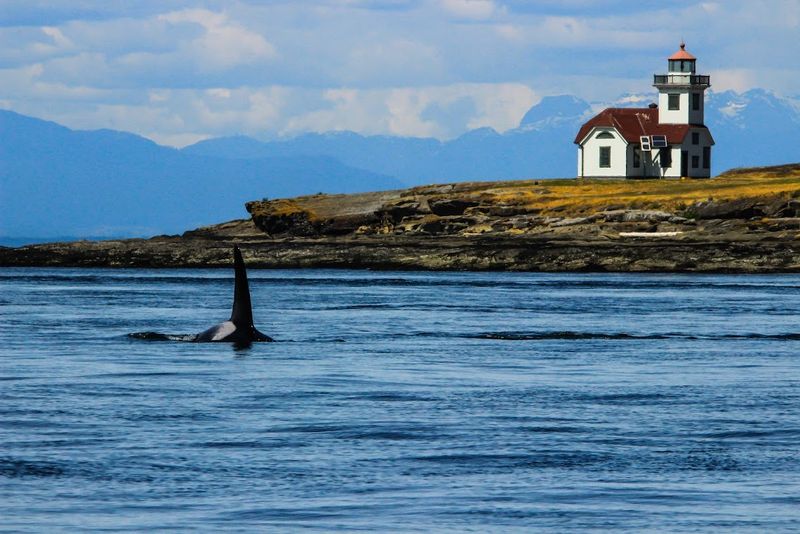 San Juan Islands, Washington