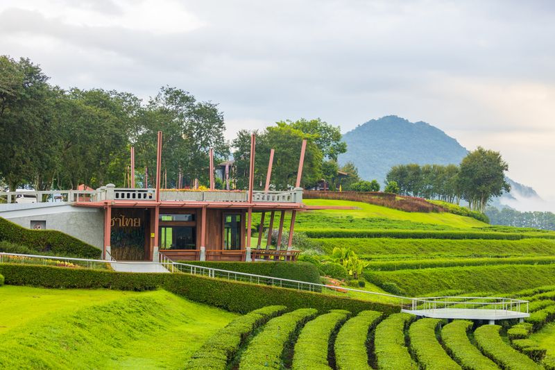 Singha Park