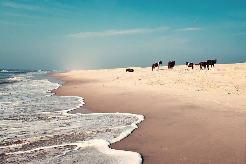 Chincoteague Island, Virginia