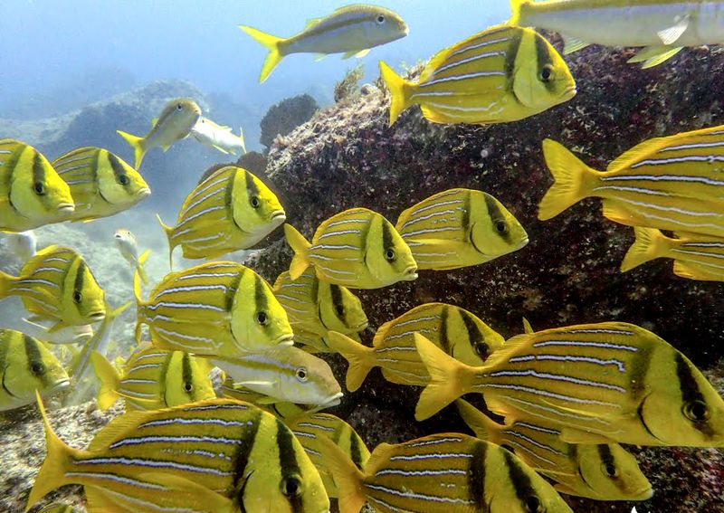 Los Cabos, Mexico