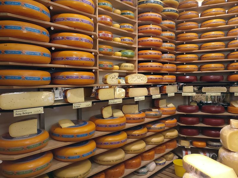 Amsterdam's Cheese Journey