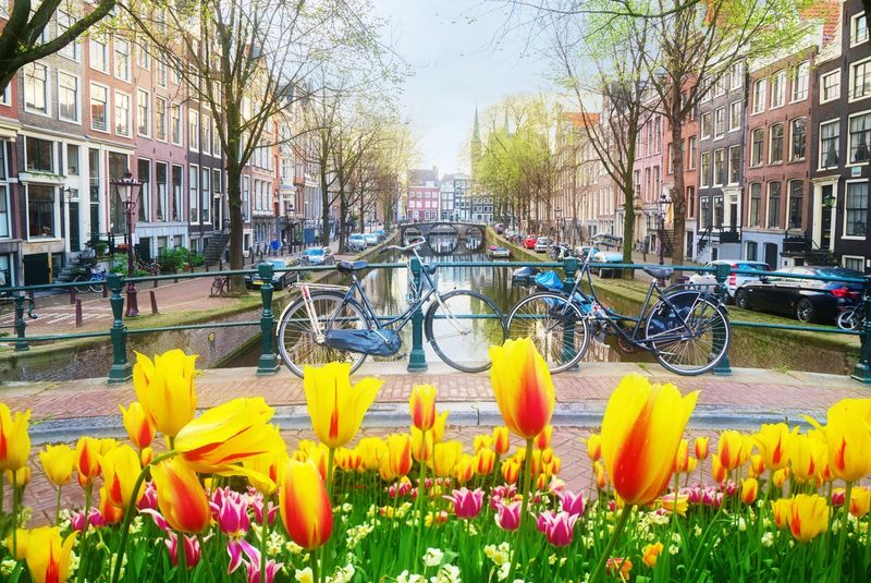 Amsterdam In Spring