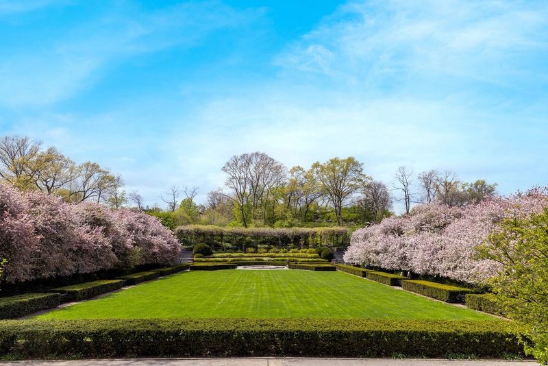 Central Park, New York