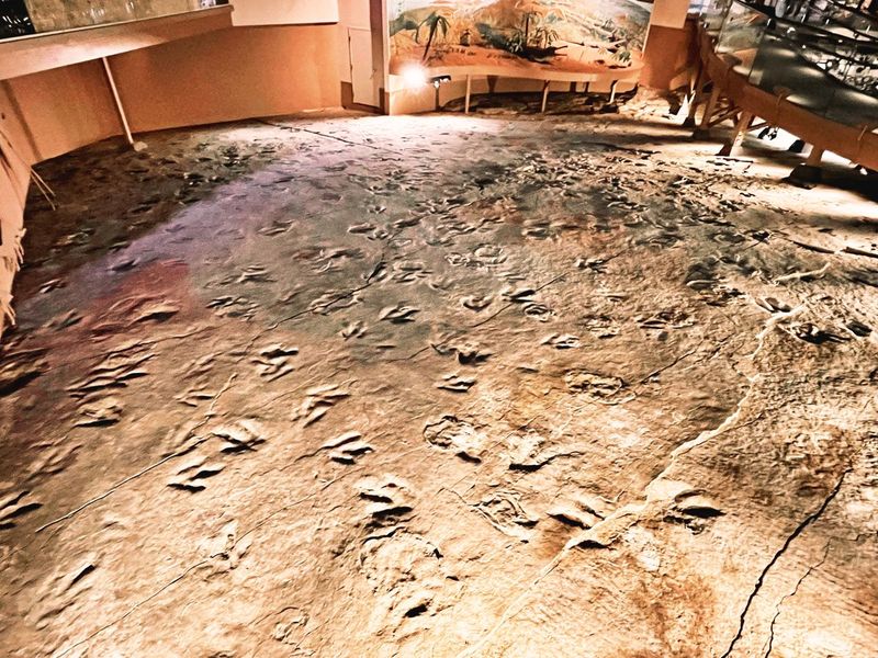 Dinosaur State Park – Rocky Hill, Connecticut