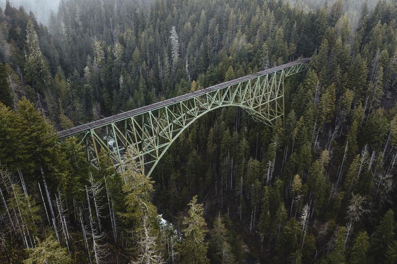 Vance Creek Bridge
