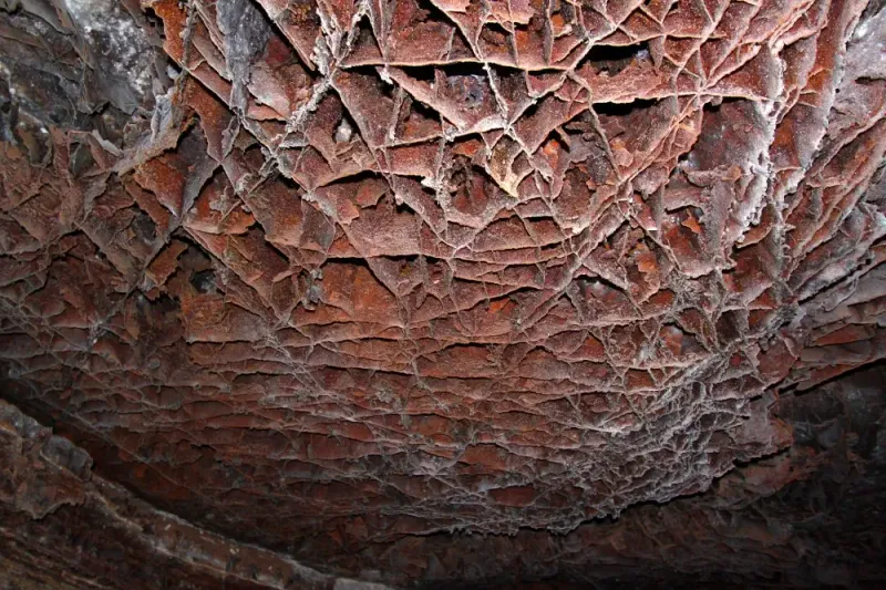 Wind Cave National Park, South Dakota