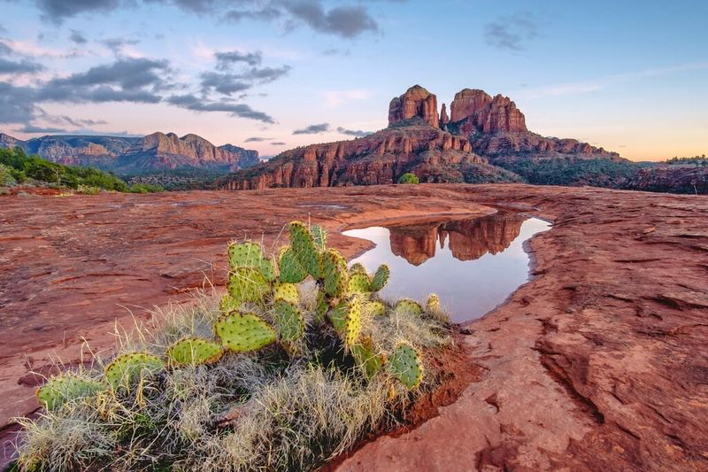 Coconino National Forest