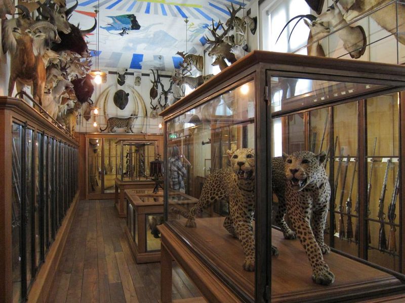 Musée de la Chasse et de la Nature