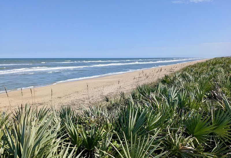 Canaveral National Seashore: Where Wild Meets Waves