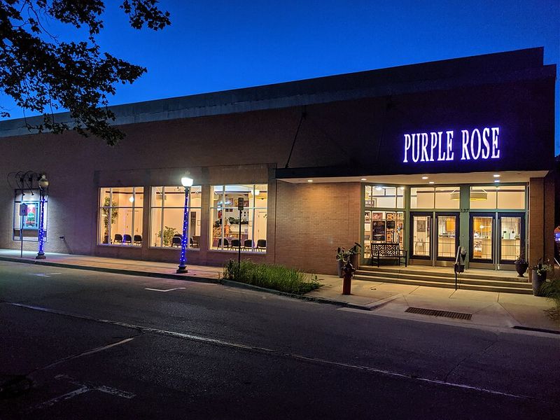 Chelsea: Purple Rose Theater Town