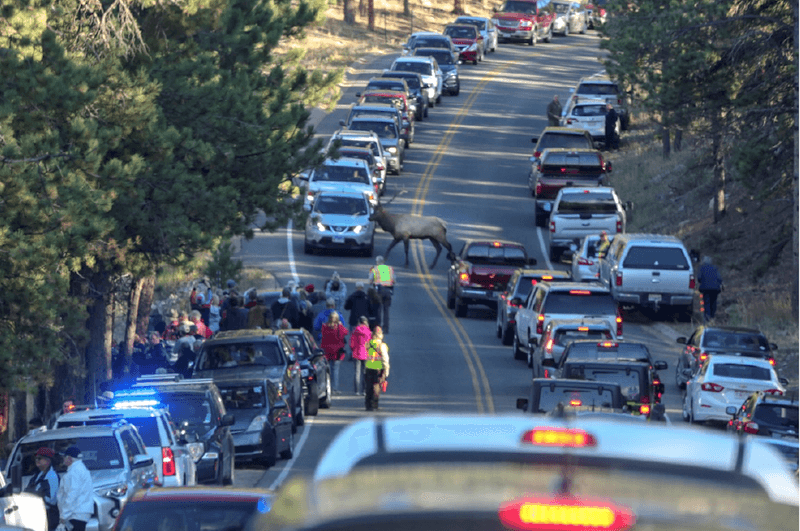 Trail Ridge Road: Rocky Mountain National Park's Crowded Corridor