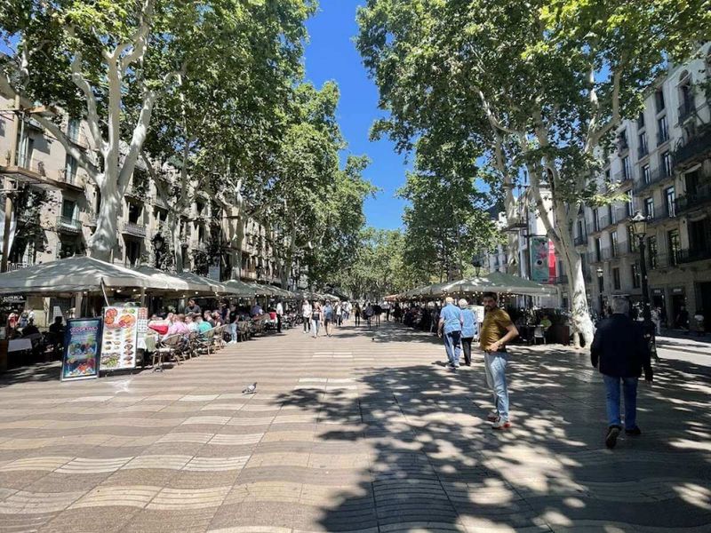 Barcelona's Beach-to-Mountain Layout