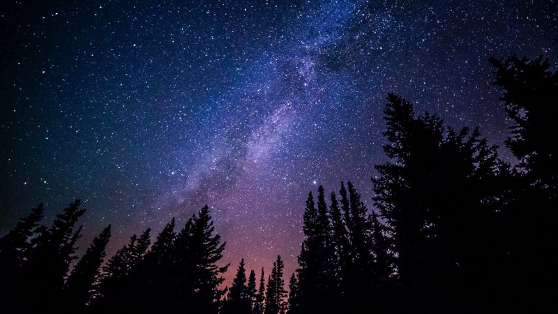 Star Gazing Over Empty Plains