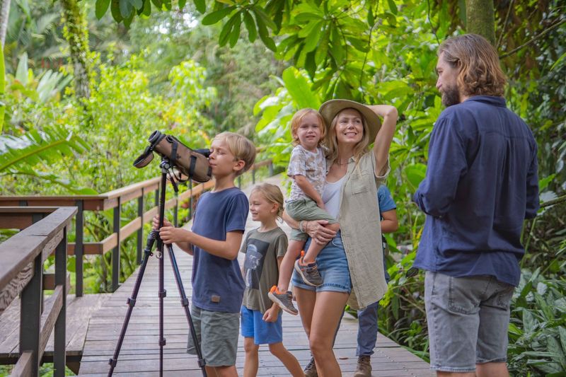 Costa Rica's Rainforest Wonders