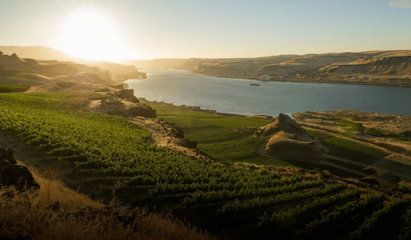 Washington State's Columbia Valley Serenity