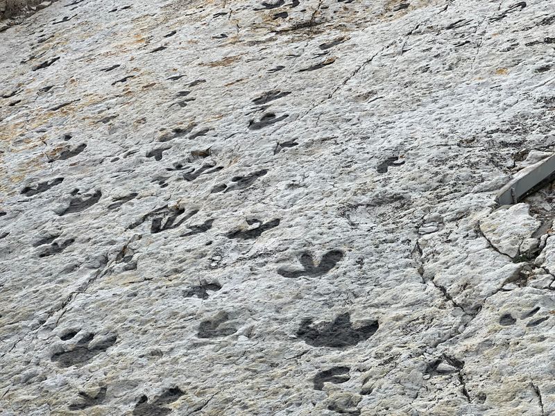 Dinosaur Ridge, Colorado, USA