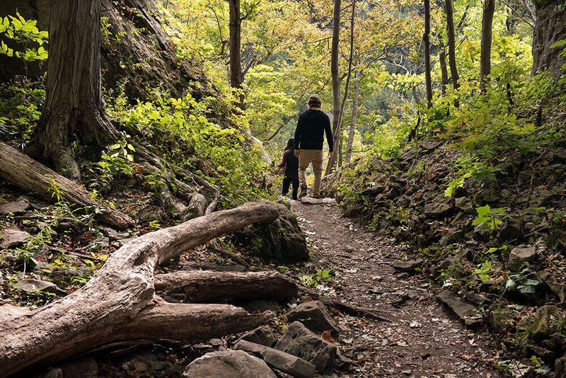Niagara Glen Nature Preserve