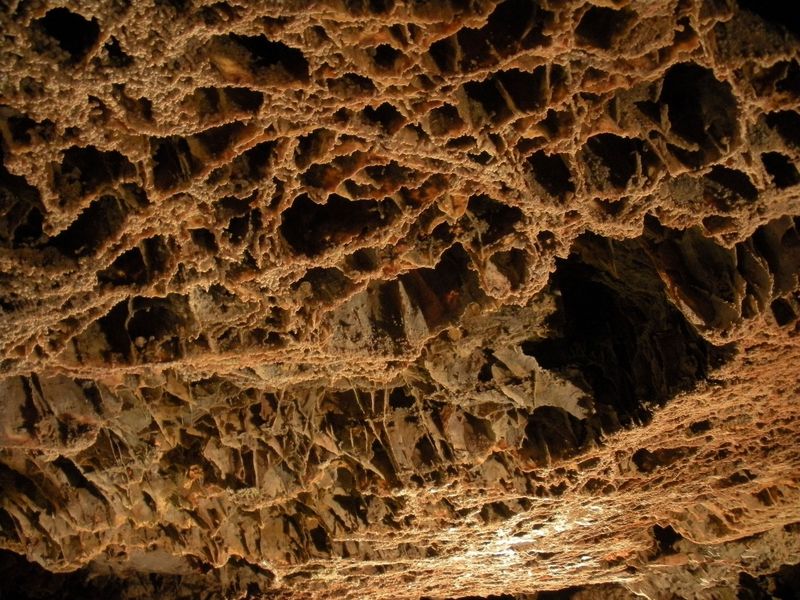 Wind Cave National Park, South Dakota