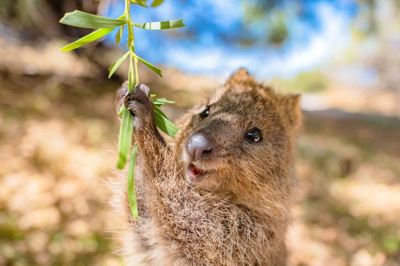 Bespoke Wildlife Encounters