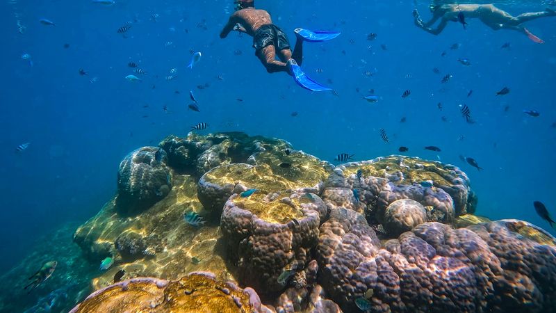 The Great Barrier Reef, Australia