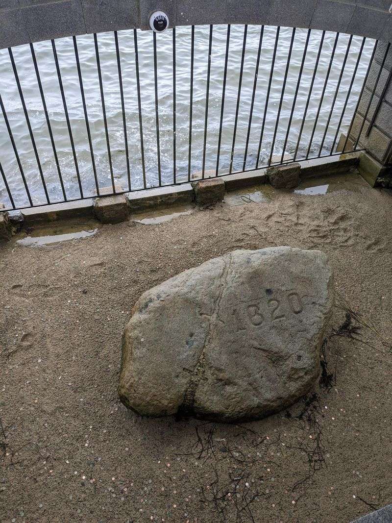 Plymouth Rock