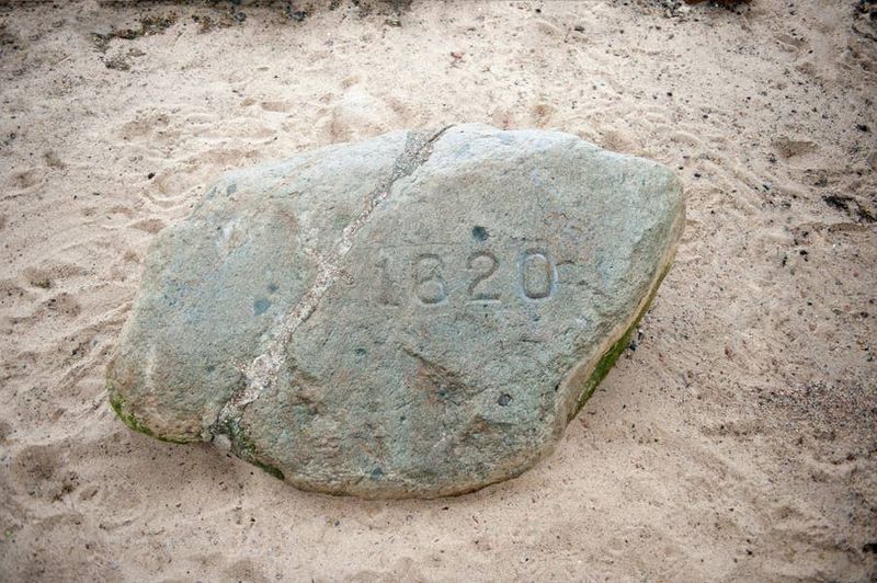 Plymouth Rock's Tiny Disappointment
