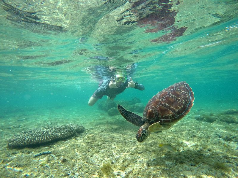 Apo Island, Philippines: Community-Led Conservation Success Story