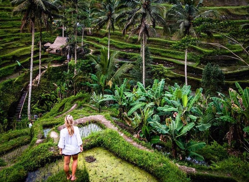 Ubud: Bali's Spiritual Center