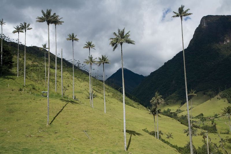 Salento, Colombia