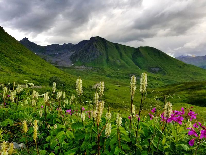Hatcher Pass