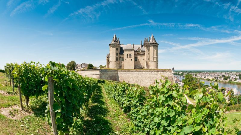 Loire Valley Château: Royal Treatment in France