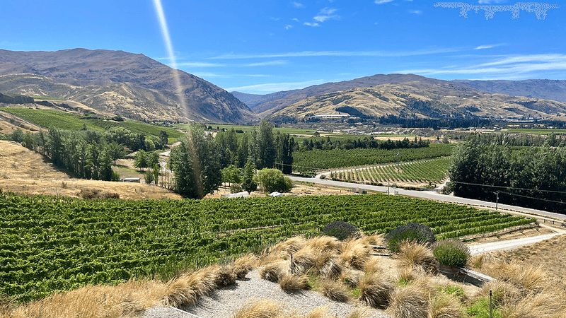 Central Otago, New Zealand