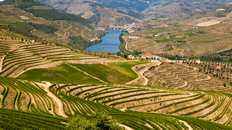 Portugal's Douro Valley