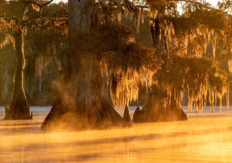 Louisiana's Soulful Rhythm