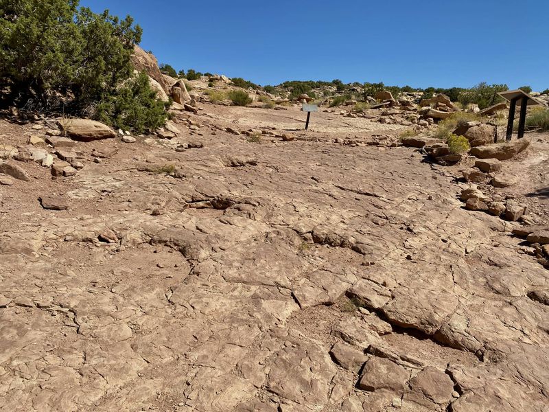 Copper Ridge Dinosaur Trackways