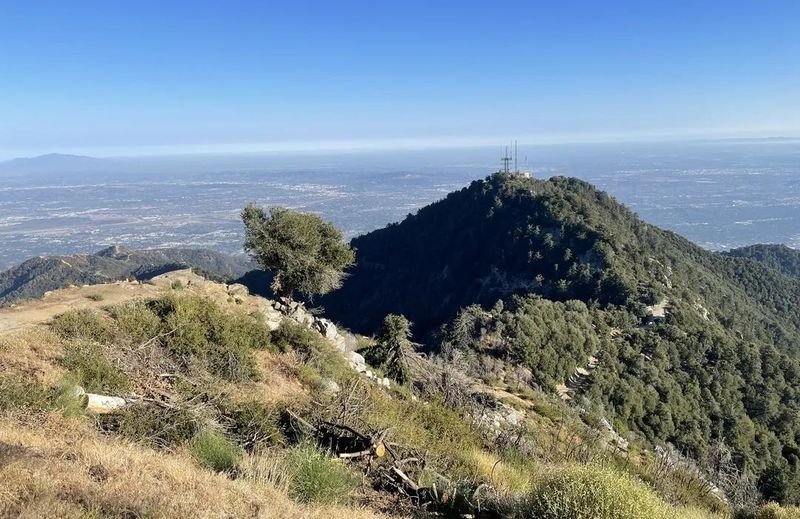 Mount Wilson via Chantry Flats