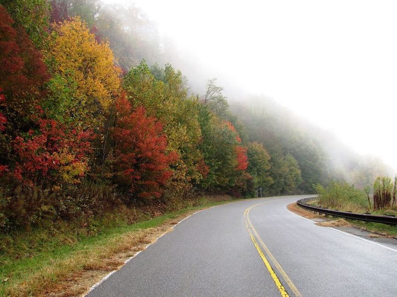 Cherohala Skyway: All Buildup, Little Payoff